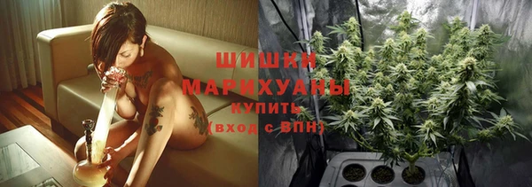 PSILOCYBIN Верхний Тагил