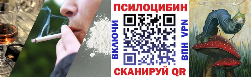 где купить   Клинцы  Псилоцибиновые грибы прущие грибы 